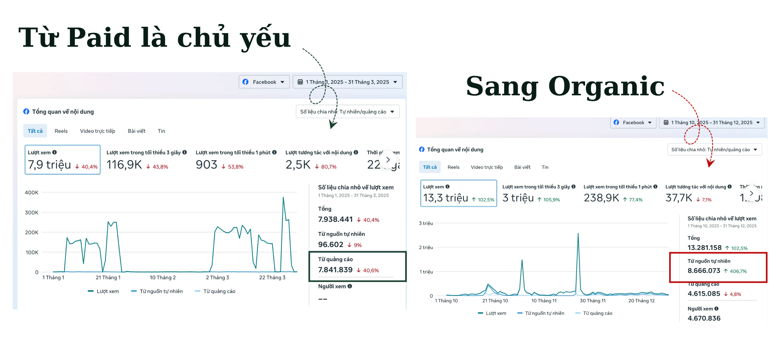 Số liệu fanpage MSD